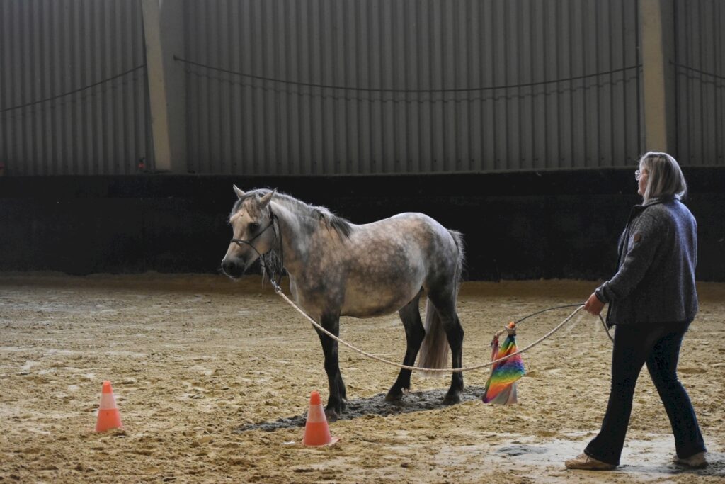 Stages, cours, coachings, concours anouchka bednarek coaching