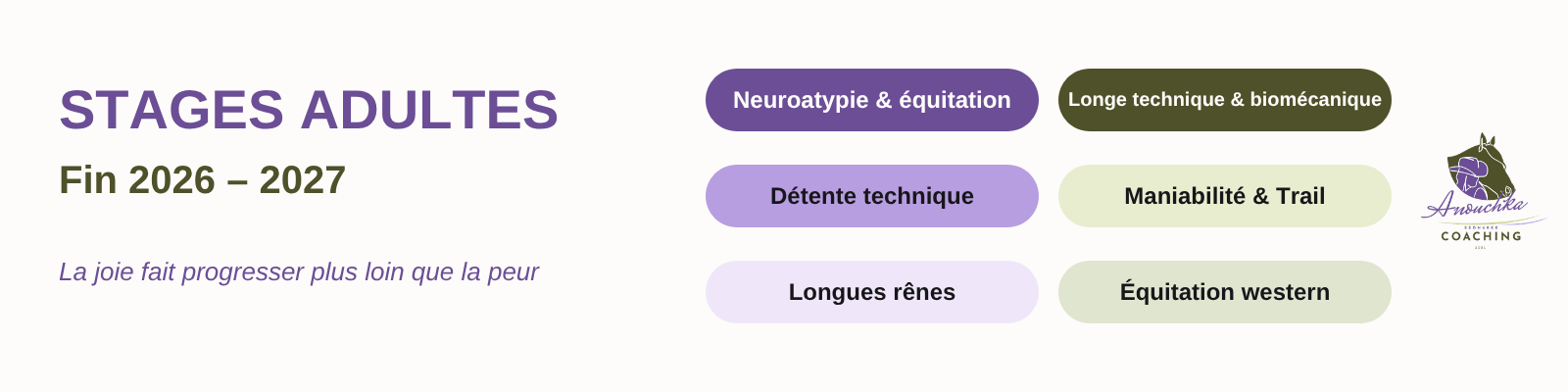 Stages adultes fin 2026 – 2027 : Neuroatypie & équitation, Longe technique & biomécanique, Détente technique, Maniabilité & Trail, Longues rênes, Équitation western